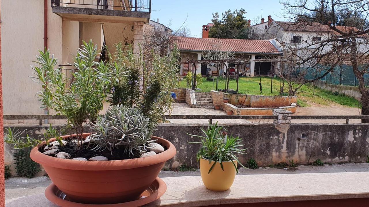 普拉Apartman Istria 4 You公寓 外观 照片